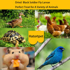 hatortpet Dried Black Soldier Fly Larvae 10LB-Pure Natural Non-GMO BSF Larvae for Chickens-More Calcium Than Mealworms High-Protein Chickens Treats for Layer Hens Wild Birds Ducks