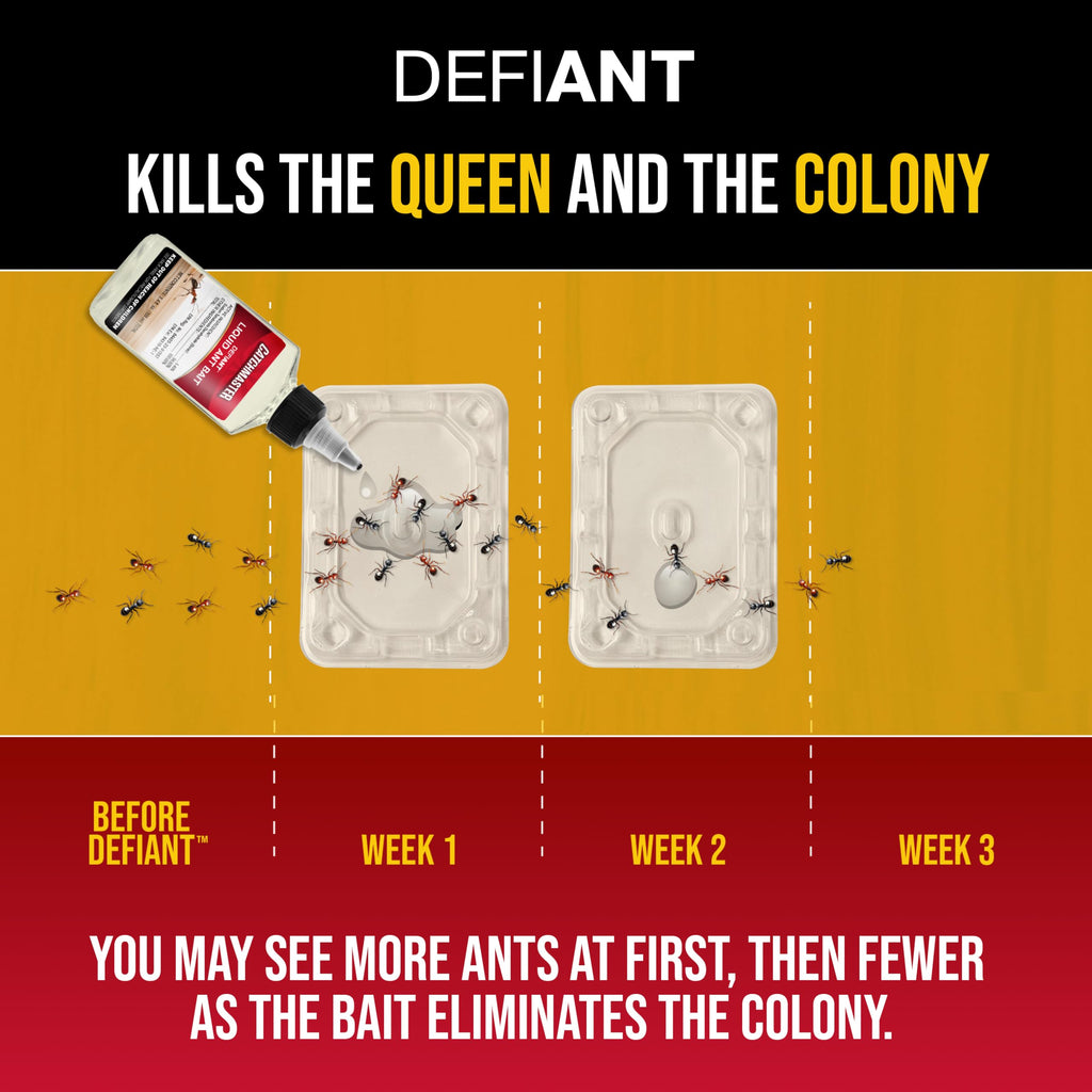 Catchmaster Defiant Premium Liquid Ant Killer, 1-Year Supply, Kills the Queen and Colony, No Mess Precision Bottle, Reusable Ant Traps Indoor & Outdoor, Pest Control Traps, Made in USA