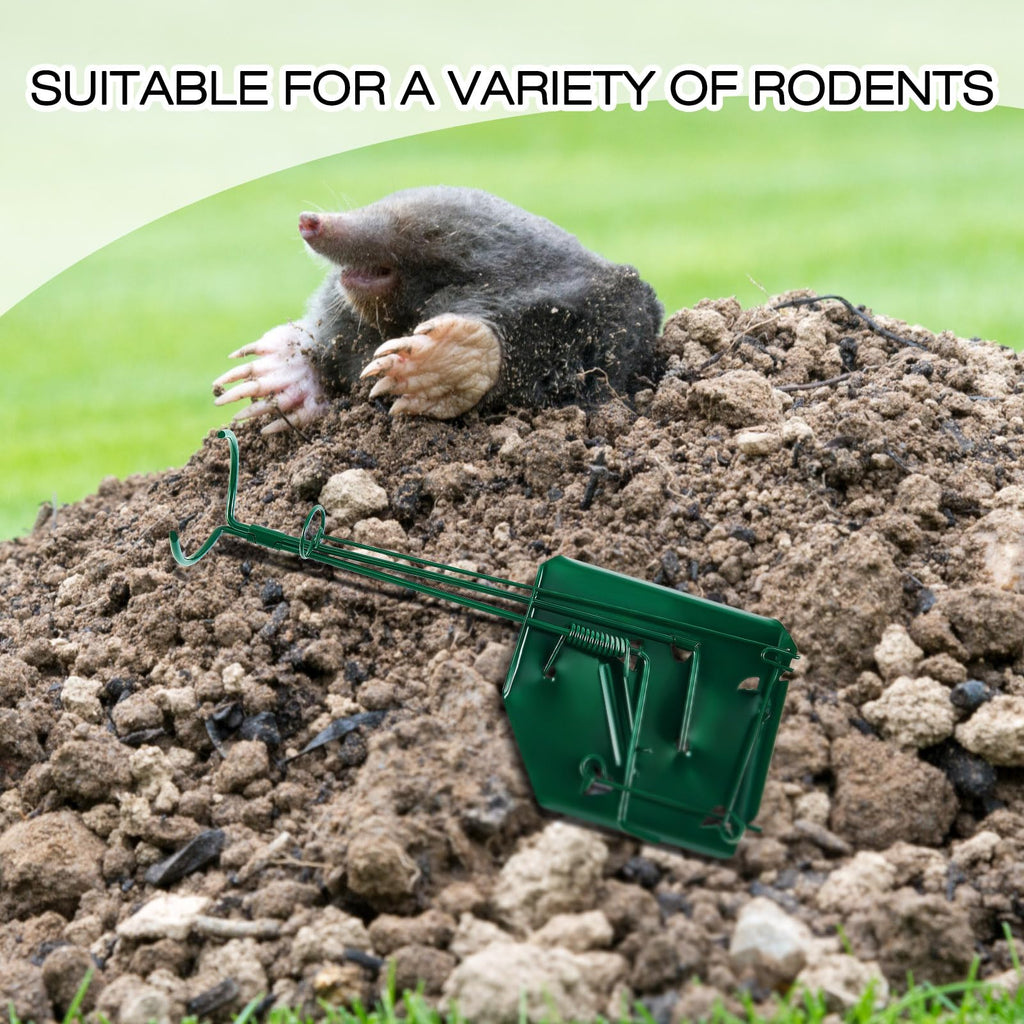 Qualirey 8 Pack Mole Trap Gopher Trap Ground Squirrel Trap Galvanized and Oil Hardened Steel Animal Trap Reusable Gopher Trap Vole Traps for Outdoor Lawn Garden Yard Farm (Green)