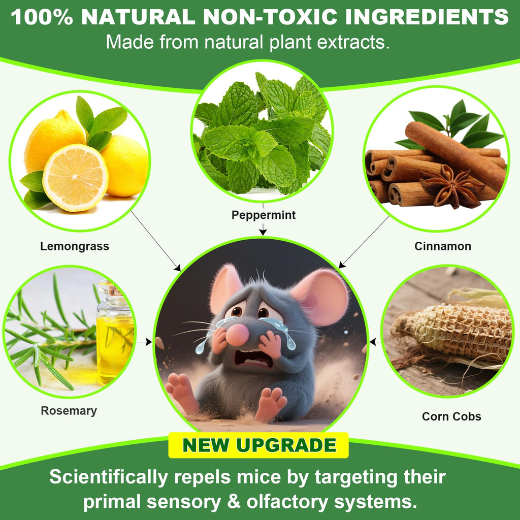 BOZFLY Mouse Rodent Repellent, 32 Pack Peppermint Oil Mice Repellent for Mice, Rats, Squirrels, Spiders and Pests, Indoor/Outdoor Natural Mouse Deterrent, Keeps Rodent Away from Garden & Home (Mint)