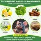 BOZFLY Mouse Rodent Repellent, 32 Pack Peppermint Oil Mice Repellent for Mice, Rats, Squirrels, Spiders and Pests, Indoor/Outdoor Natural Mouse Deterrent, Keeps Rodent Away from Garden & Home (Mint)