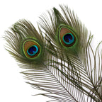 THARAHT 24pcs Peacock Feathers Long Natural in Bulk 40-45 inch 100-115 cm for Vase Craft Vase Wedding Home Party Christmas Day Decoration Peacock Feathers