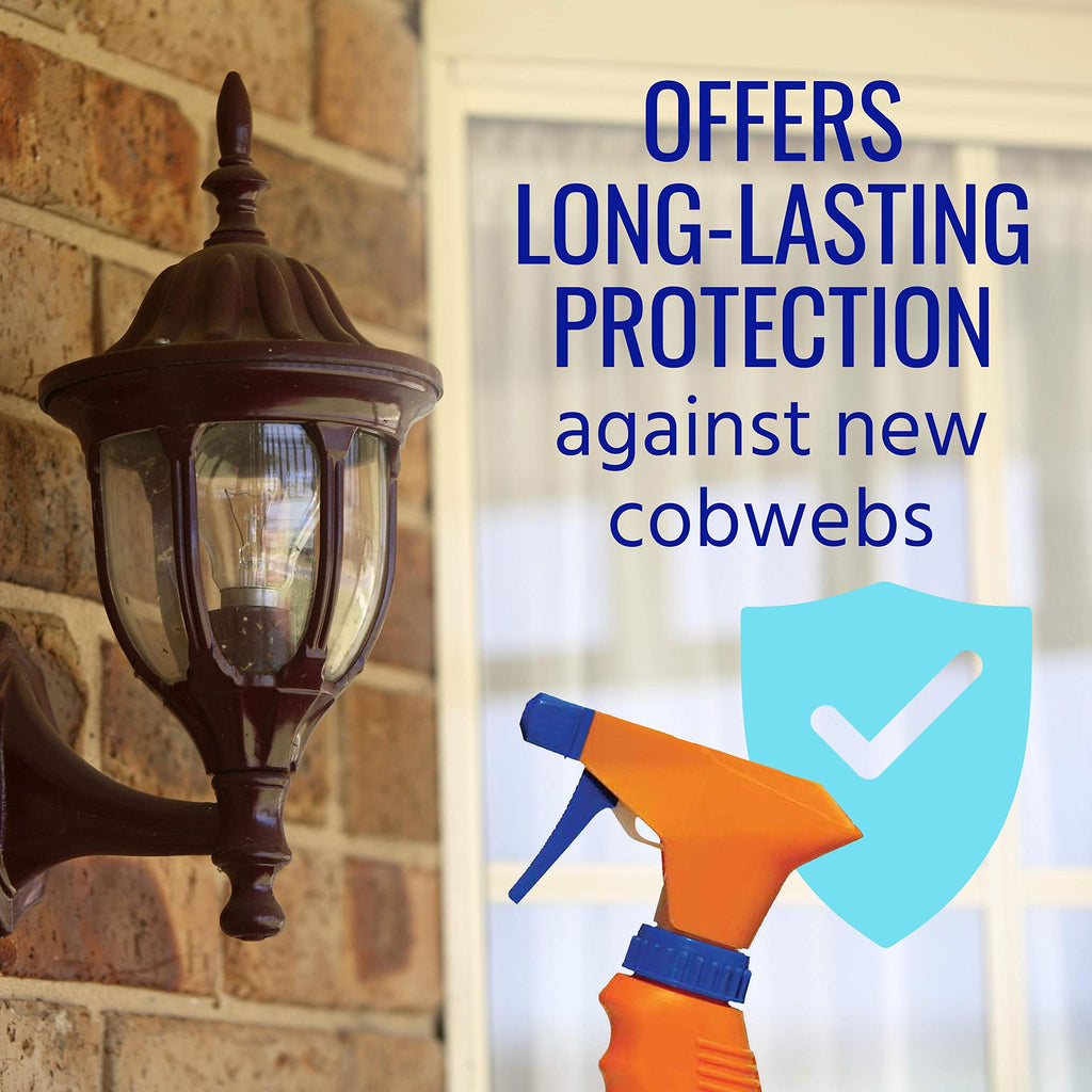 TERRO Spider Cobweb Eliminator and Repellent Spray - Prevent Spiderweb Formation - Ready-to-Use & Works Immediately - Long Lasting Results - T2360