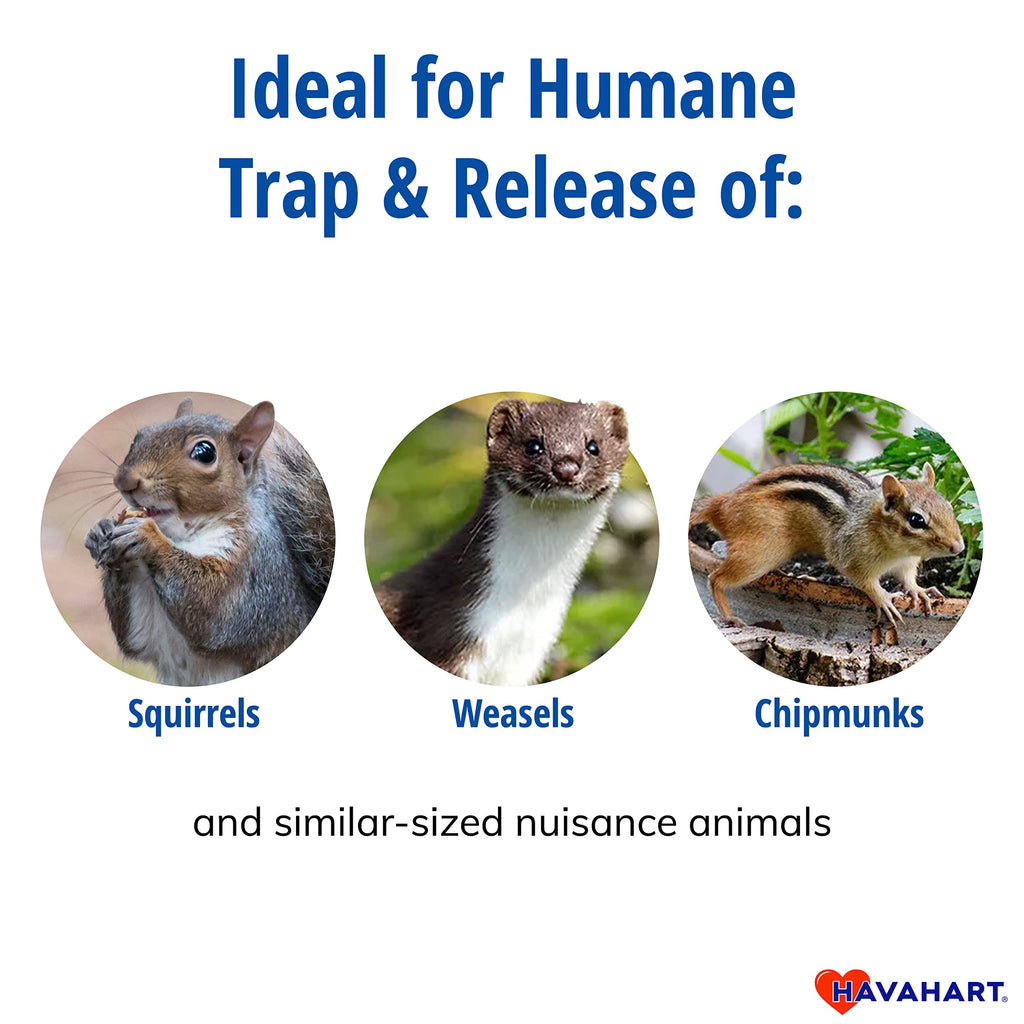Havahart 1026 Small 1-Door Humane Live Catch and Release Animal Trap for Squirrels, Weasels, Chipmunks, and Small Animals