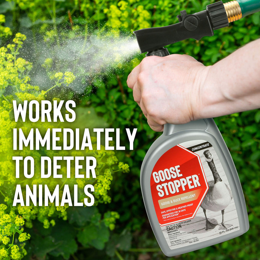 Messina Wildlife GS-C-032 Goose Stopper Quart Concentrate, 1 quart