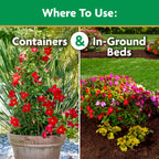 Miracle-Gro Water Soluble Bloom Booster Flower Food Fertilizer - 10-52-10 Formula for Annuals Perennials and Containers - Promotes Vibrant Flowers and Rich Color, 4 lbs.