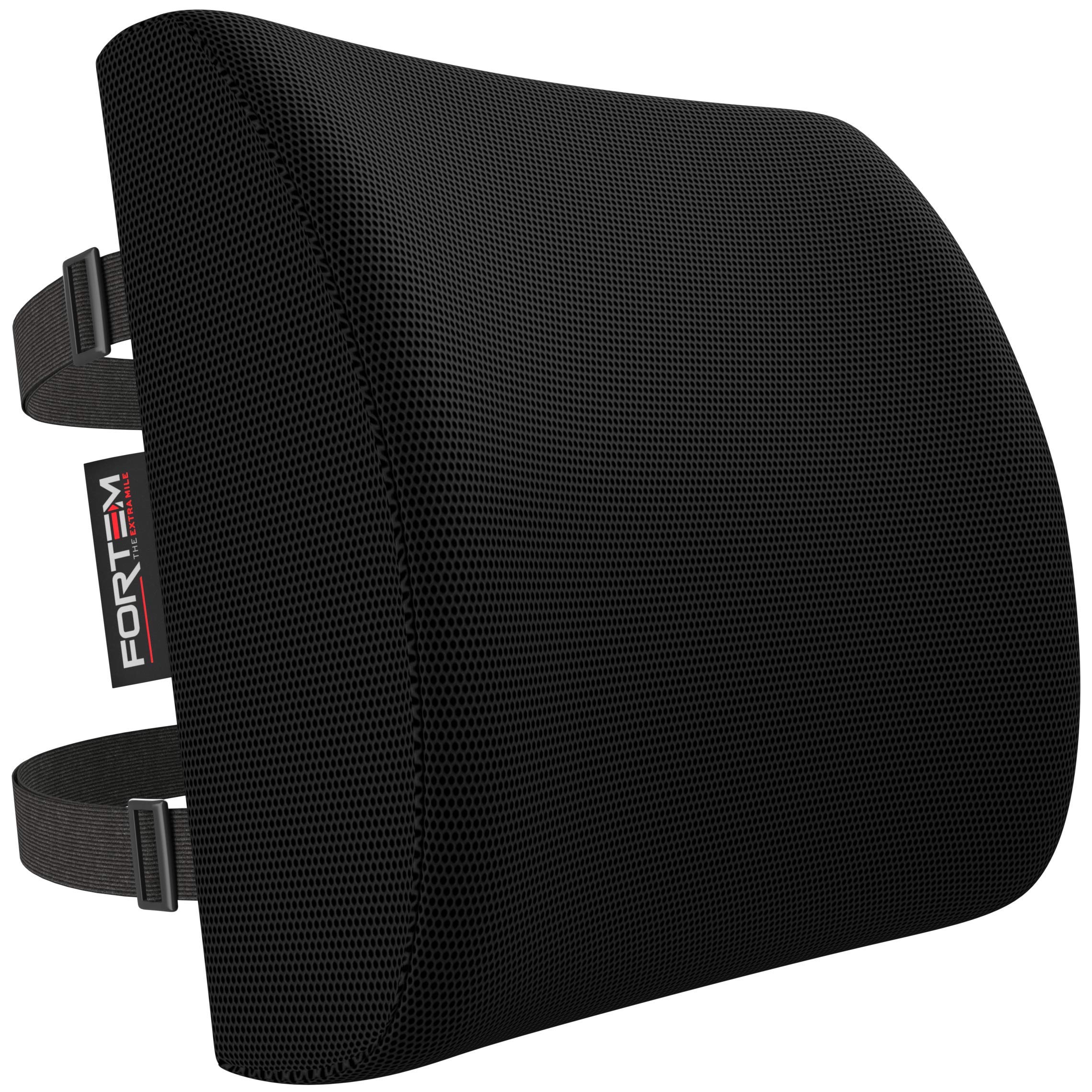 FORTEM Lumbar Support Cushion, Back Support for Office Chair and Car Seat, Back Rest for Gaming Chair, Memory Foam Pillow, Desk Chair Cushion, Breathable & Washable Cover, Adjustable Straps