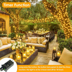 66Ft 200LED Fairy Lights Plug in with Remote, Waterproof String Lights Outdoor & Indoor 8 Modes with Timer, LED Twinkle Lights for Girl's Room Garden Patio Halloween Christmas Decorations (Warm White)