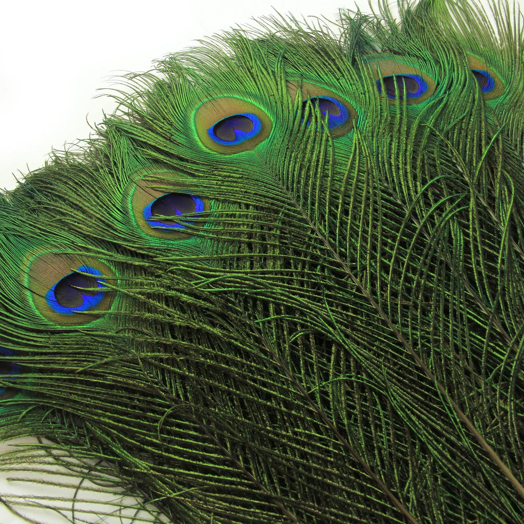 THARAHT 24pcs Peacock Feathers Long Natural in Bulk 40-45 inch 100-115 cm for Vase Craft Vase Wedding Home Party Christmas Day Decoration Peacock Feathers