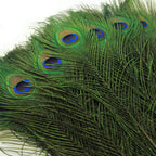 THARAHT 24pcs Peacock Feathers Long Natural in Bulk 40-45 inch 100-115 cm for Vase Craft Vase Wedding Home Party Christmas Day Decoration Peacock Feathers