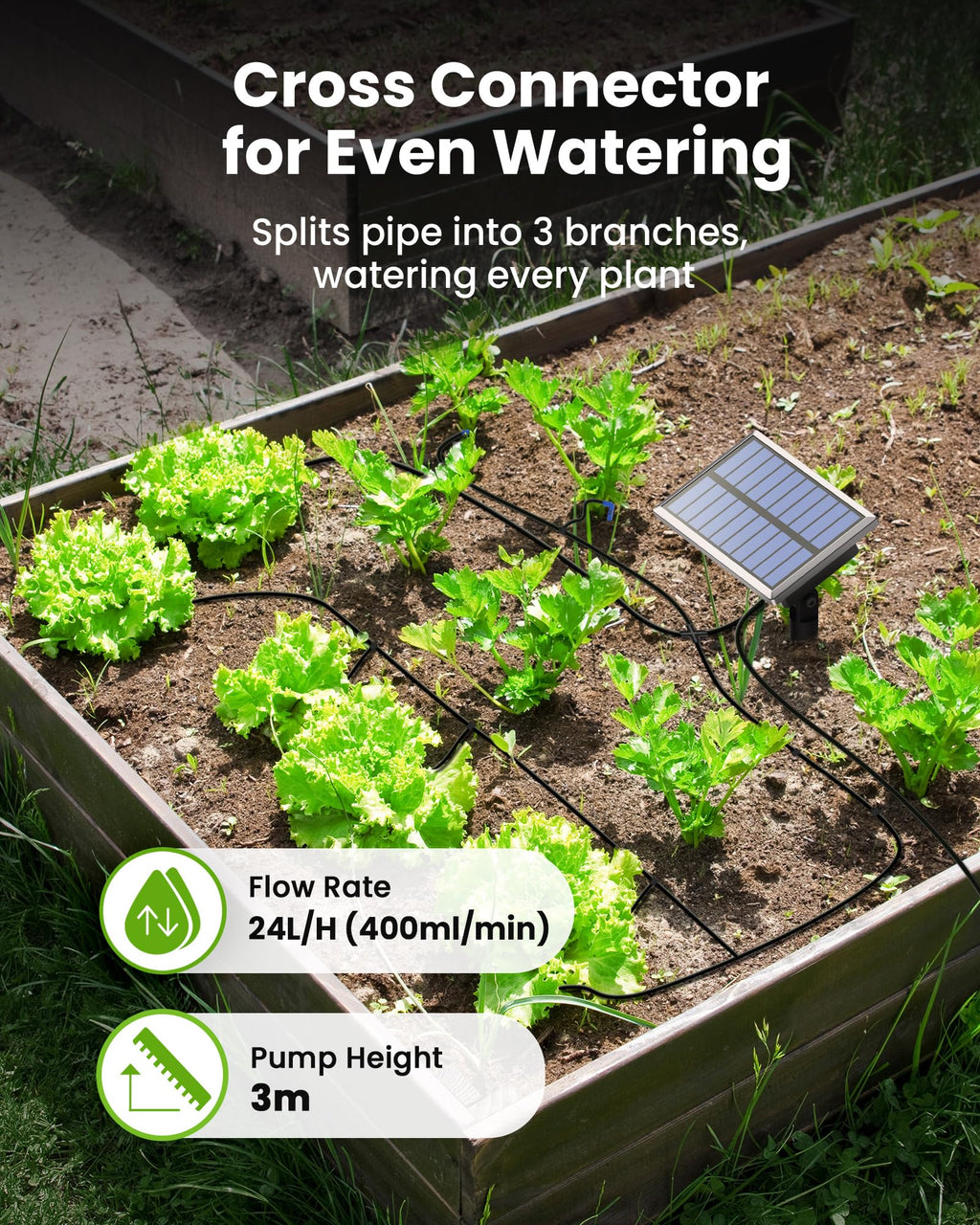 RAINTPOINT Solar Automatic Drip Irrigation Kit System,Solar Garden Watering System with 100% Anti-Siphoning Device, Easy DIY Plant Watering Devices with 6 Timing Modes for 10-15 Potted Plants