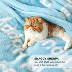 Bedsure Get Well Gifts for Women - After Surgery Blanket with Inspirational Words Sympathy Gift for Elderly Adults Hug Soft Fleece Healing Blanket Letter Blue 50x60 Inch
