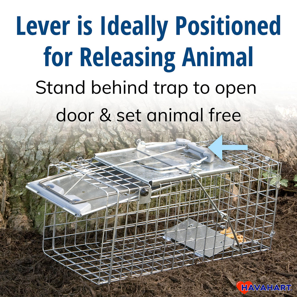 Havahart Easy-Set Catch and Release Small 1-Door Humane Live Animal Trap for Squirrels, Rabbits, Skunks, and Other Small Animals - 1083
