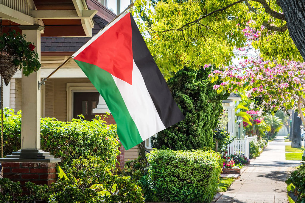 DANF Palestine Flag 3x5 Ft Thick Polyester, Fade Resistant, Brass Grommets, Canvas Header Palestinian National Flags with 3 X 5 Feet