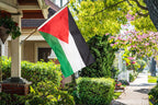 DANF Palestine Flag 3x5 Ft Thick Polyester, Fade Resistant, Brass Grommets, Canvas Header Palestinian National Flags with 3 X 5 Feet