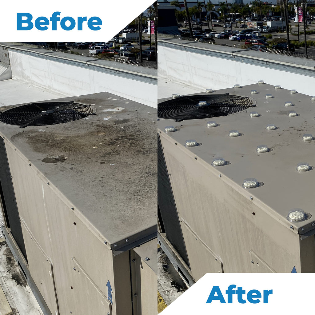 Bird Barrier Dissolve-It Max Enzyme Cleaner - Bird Dropping Cleaner - Dissolves Waste – Treat Affected Areas Before Installing Bird Control Products - Bird Cage Cleaner - 1 Pint Makes 1/2 Gallon