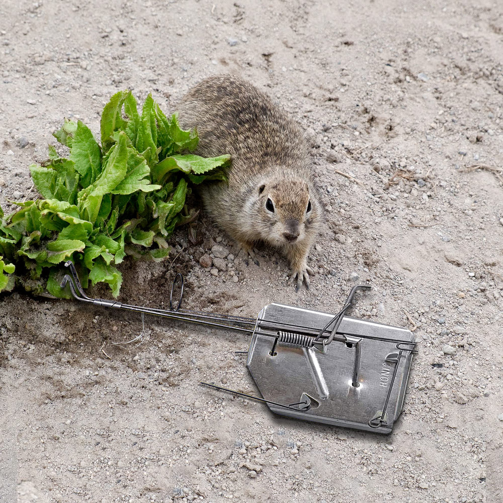 Cinch Gopher Trap Kit - Professional-Grade Gopher Traps That Work Best, Heavy Duty, Reusable Rodent Trapping System - Ideal for Lawns, Gardens, Ranches, and More - Outdoor Use, Small (3 Pack)