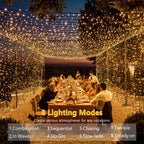 Brizled LED String Lights, 66ft 200 LED Warm White Berry String Lights, 8 Modes Christmas lights with Remote, Globe String Lights Plugin, Dimmable Xmas Tree Lights for Indoor Outdoor Patio, Green Wire