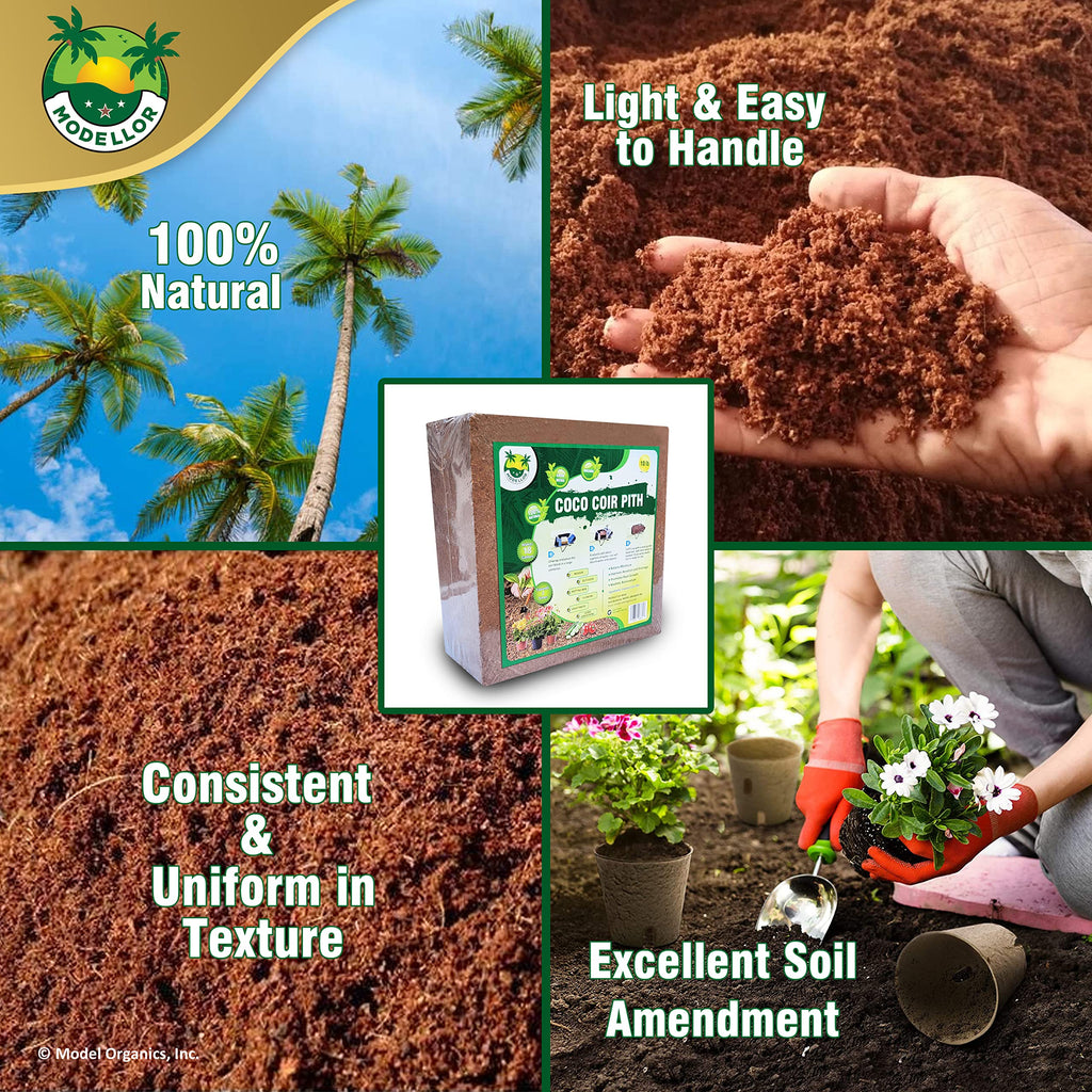 MODELLOR Premium Coconut Coir Pith Block/Brick 10 lb., yields 18 to 20 gallons of Coir on Hydration, Organic, Washed, pH Balanced, Seed Starter, Gardening, Indoor, Outdoor use.