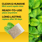 Victor Scent-Away Mouse Repellent Pouches with Peppermint Oil - Natural Rodent Repeller for Indoor and Outdoor Use, 10 Pack M805B-2SR