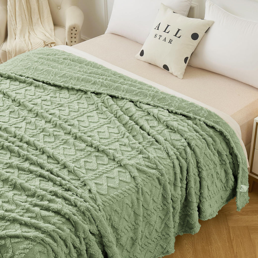 Aganear Fleece Throw Blanket - Cozy Soft Lightweight Fuzzy Throw Blanket for Women Portable Throw Blankets for Couch, Warm Present for Birthday, Christmas, Halloween, Housewarming(50"x60", Sage Green)