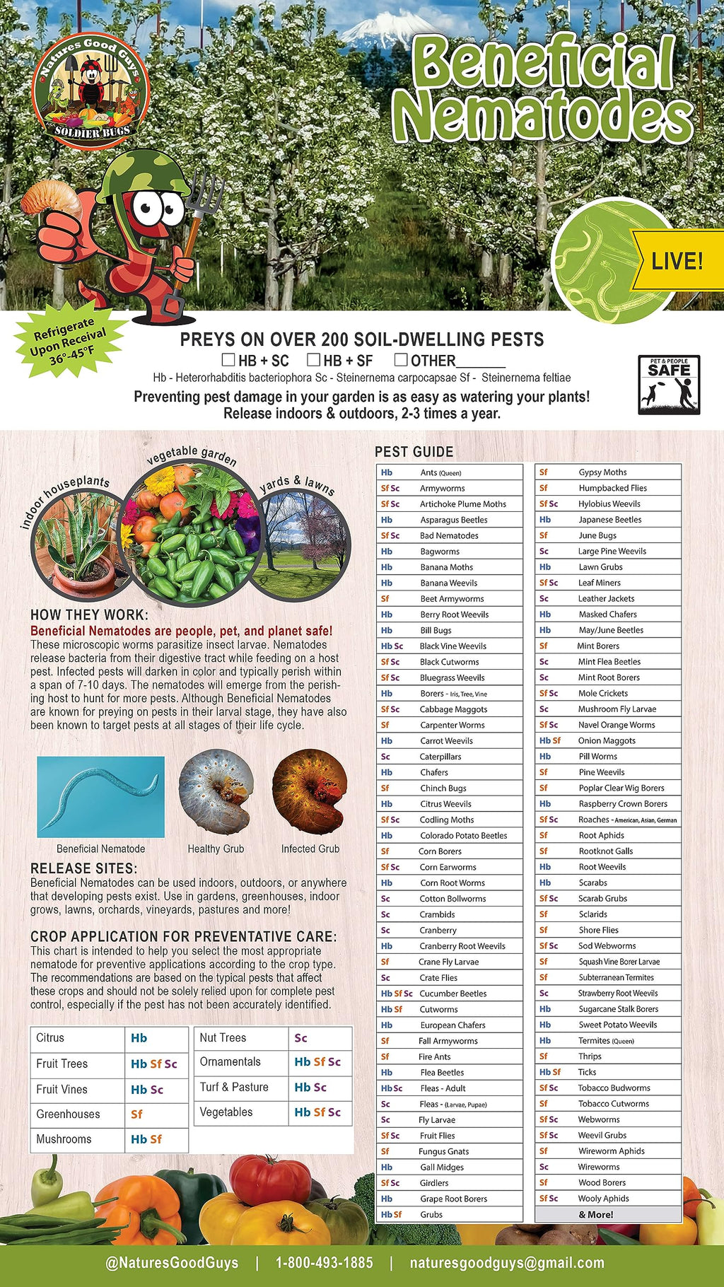 Bug Sales Beneficial Nematodes Hb & Sc - 25 Million