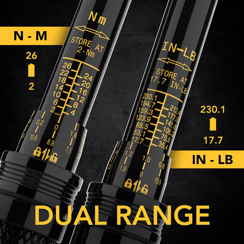 LEXIVON Bike Torque Wrench 1/4-Inch Dr. 15-Piece Kit | 72-Tooth Gear, Dual-Direction Click Type 2~26 Nm / 17.7~230.1 in-lb (LX-191)
