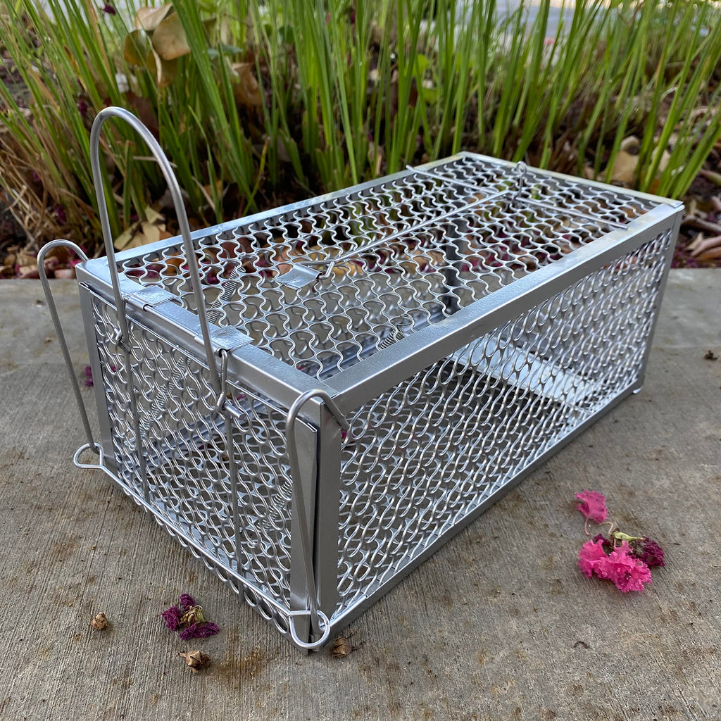 2PACK Live Humane Cage Mouse Trap Rat Catch Control Bait Hunting Survival for Indoor and Outdoor,Small Rodent Animal-Mice Voles Hamsters Cage (4.5x11x5.8 inch)