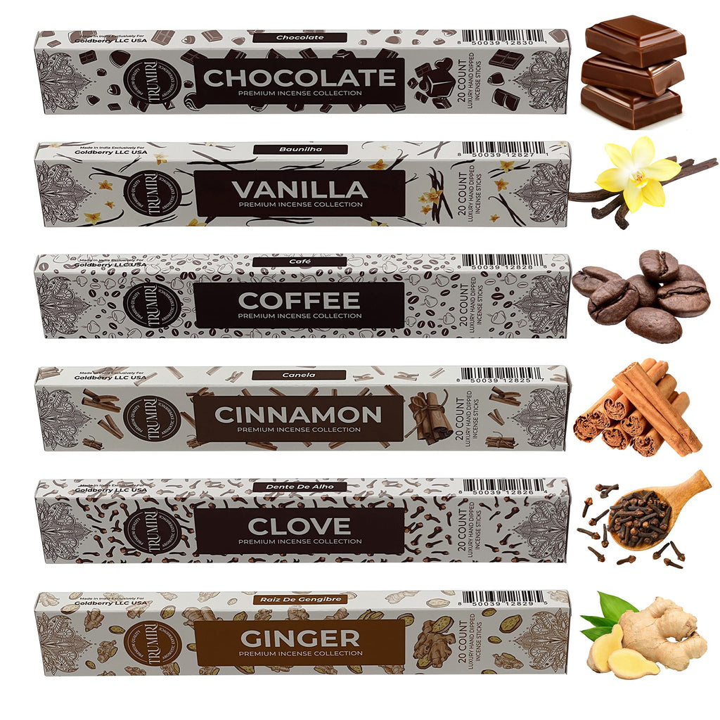 Gourmet Incense Sticks Variety Pack - 120 Insence-Sticks (6 Incents x 20 Insense) - Cinnamon Vanilla Coffee Chocolate - Natural Inscents-Sticks Non Toxic Inciensos + Incense Holder for Fall Christmas