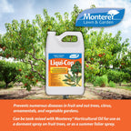 Monterey - Liqui-Cop - Copper Garden Spray Fungicide for Disease Prevention - 1 Gallon Concentrate