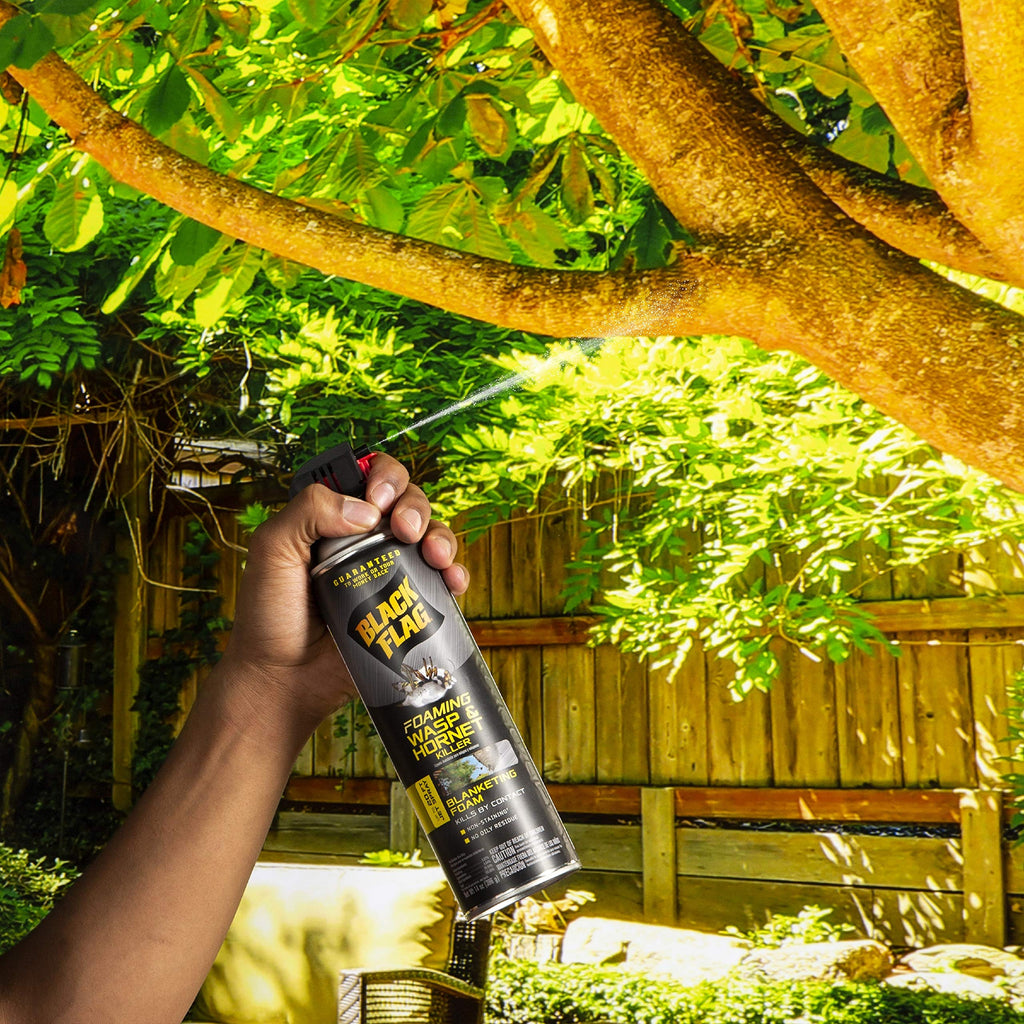 Black Flag Foaming Wasp and Hornet Killer 14 Ounces, Aerosol Insecticide SprayAdditional Product Name: Black Flag Foaming Wasp and Hornet Killer 14 Ounces, Aerosol Insecticide Spray 12 pack