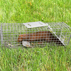 Qualirey 2 Pack 24'' Live Animal Trap Cage Cat Trap Cage Foldable Steel Humane Catch and Release Animal Trap for Groundhog Squirrel Raccoon Mole Gopher(Silver, 24.41 x 7.09 x 8.27 Inch)