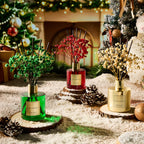 COCORRÍNA Diffuser - Balsam & Fir 6.7 Fl.oz Diffuser with 8 Sticks Home Fragrance Christmas Reed Diffuser for Bathroom Shelf Decor Home Decor