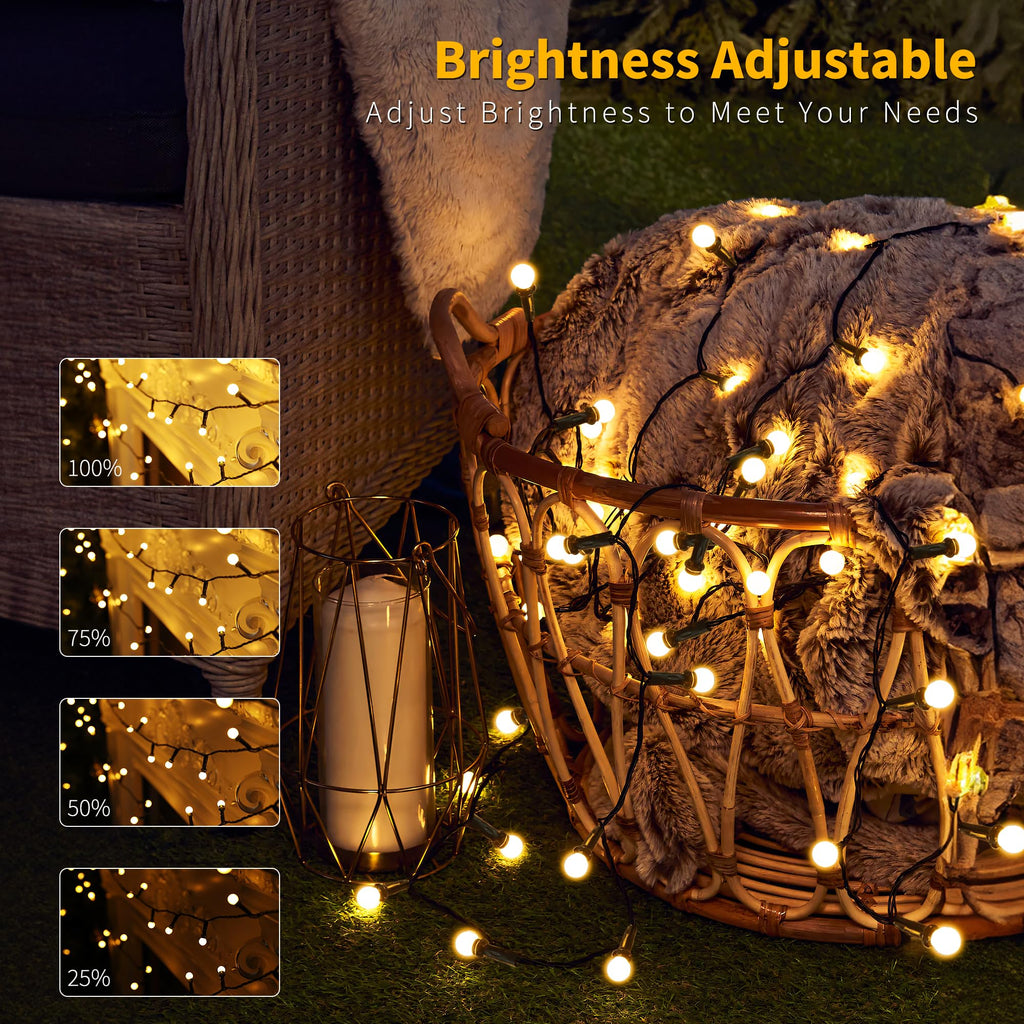 Brizled LED String Lights, 66ft 200 LED Warm White Berry String Lights, 8 Modes Christmas lights with Remote, Globe String Lights Plugin, Dimmable Xmas Tree Lights for Indoor Outdoor Patio, Green Wire