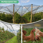 WindscreenSupplyCo Protection Cover (12 Ft. x 12 Ft.) Garden Netting with Grommets Anti Squirrels, Rabbits, Deer or Other Animals and Hail Perfect for Garden Plants Fruit Trees Pond Protection
