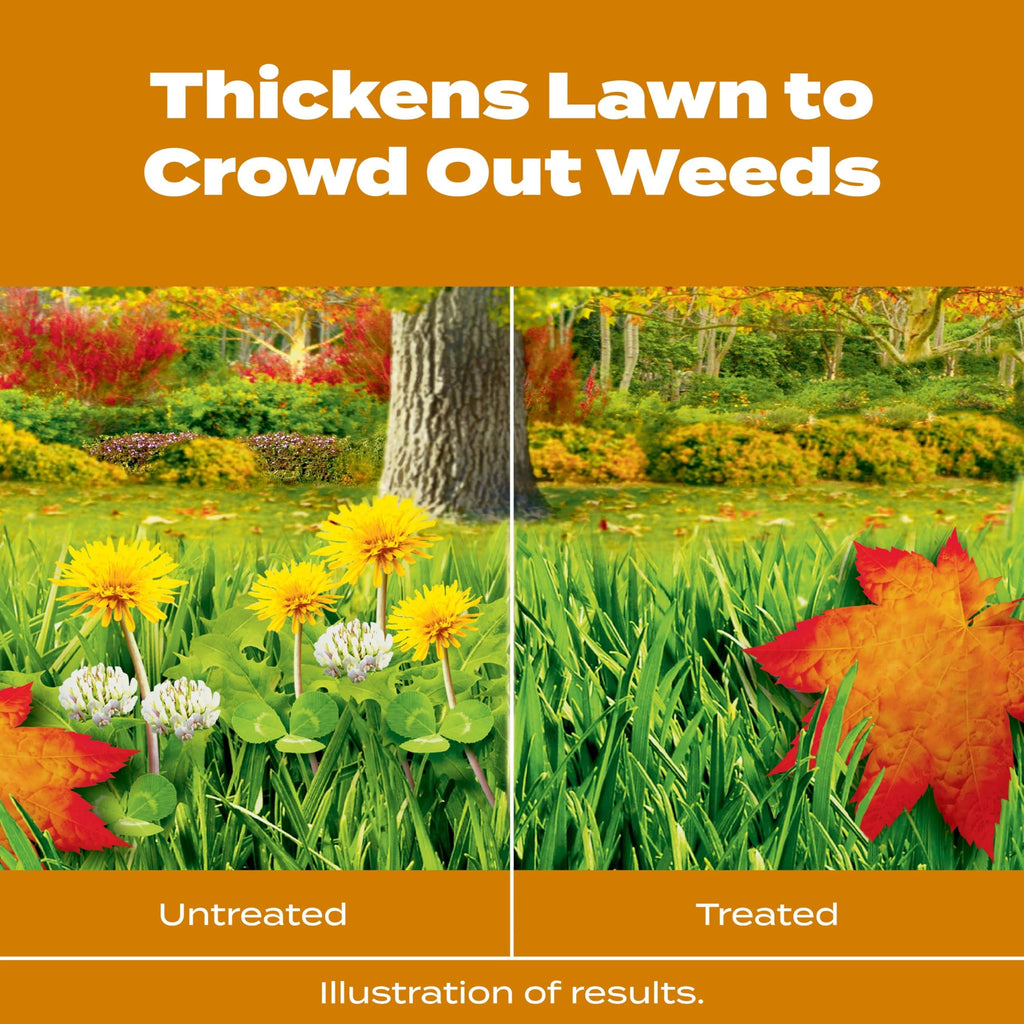 Scotts Turf Builder WinterGuard Fall Weed & Feed3, Weed Killer Plus Fall Fertilizer, 4,000 sq. ft., 11.43 lbs.