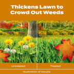 Scotts Turf Builder WinterGuard Fall Weed & Feed3, Weed Killer Plus Fall Fertilizer, 4,000 sq. ft., 11.43 lbs.