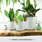 Utopia Home - Plant Pots Indoor with Drainage - 7/6.6/6/5.3/4.8 Inches Home Decor Flower Pots for Indoor Planter - Pack of 10 Plastic Planters for Indoor Plants, Cactus, Succulents Pot - White