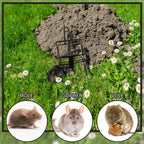Qualirey 5 Pcs Mole Trap Mole Black Galvanized Steel Eliminator Trap Mole Killer Gopher Trap for Outdoor Lawn Garden