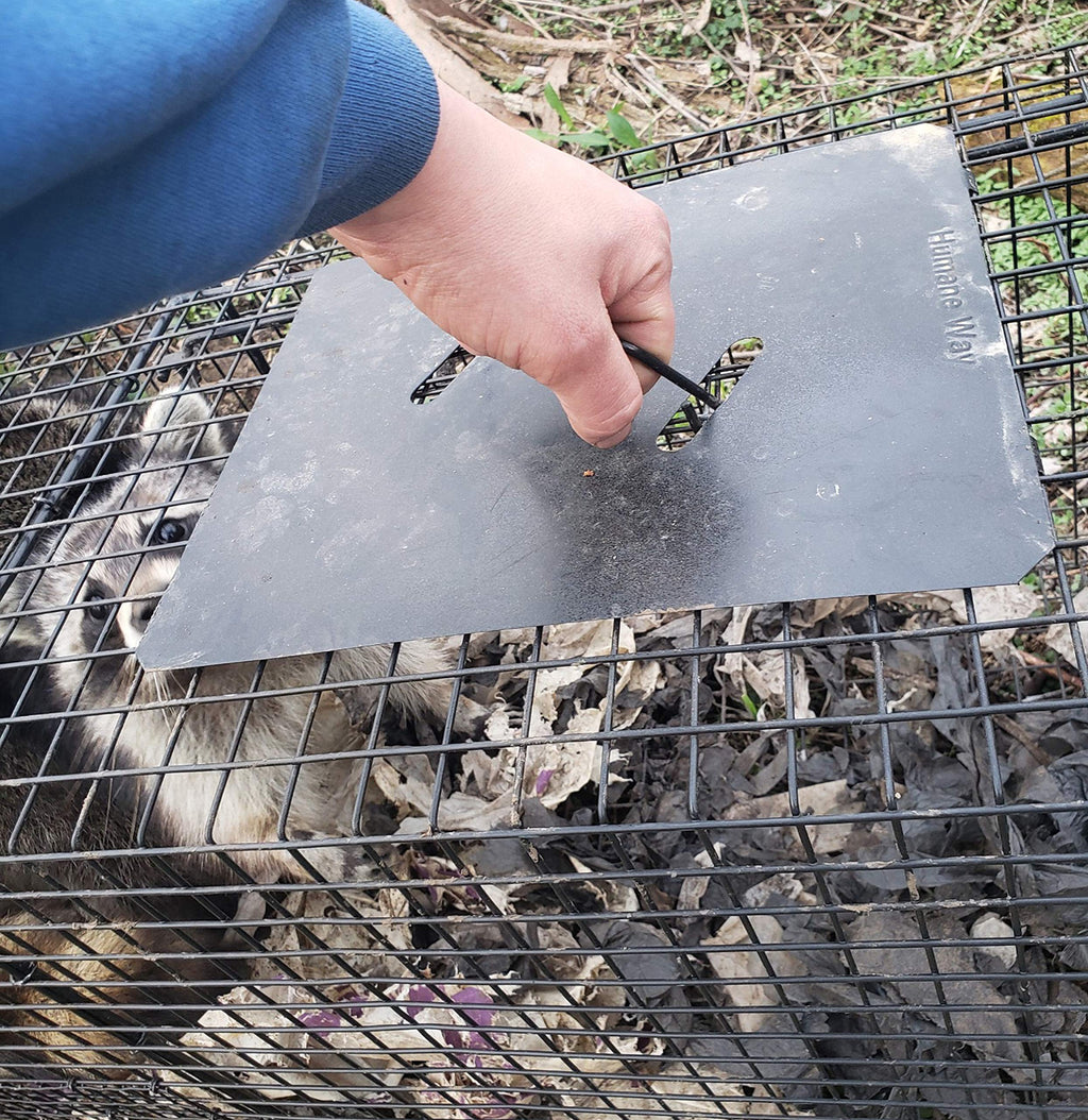 Humane Way 914048 Live Animal Trap, Medium 32"x12"x10"