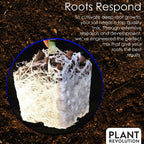 Great White PRPSGW04 100049823 4 oz Mycorrhizae, 4 Ounce