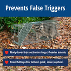 HAVAHART 1079SR Large 1-Door Humane Catch and Release Live Animal Trap Cage - Live Raccoon Trap, for Bobcats, Beavers, Dogs, & More