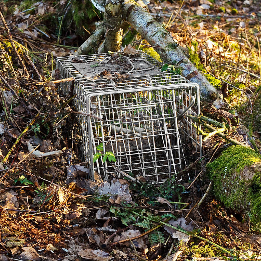 Qualirey 2 Pack 24'' Live Animal Trap Cage Cat Trap Cage Foldable Steel Humane Catch and Release Animal Trap for Groundhog Squirrel Raccoon Mole Gopher(Silver, 24.41 x 7.09 x 8.27 Inch)