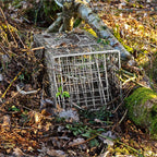 Qualirey 2 Pack 24'' Live Animal Trap Cage Cat Trap Cage Foldable Steel Humane Catch and Release Animal Trap for Groundhog Squirrel Raccoon Mole Gopher(Silver, 24.41 x 7.09 x 8.27 Inch)