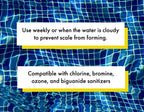 Spa & Hot Tub Scale Remover - Quart - Hot Tub & Spa Descaler, Scale Stain & Lime Stain Remover