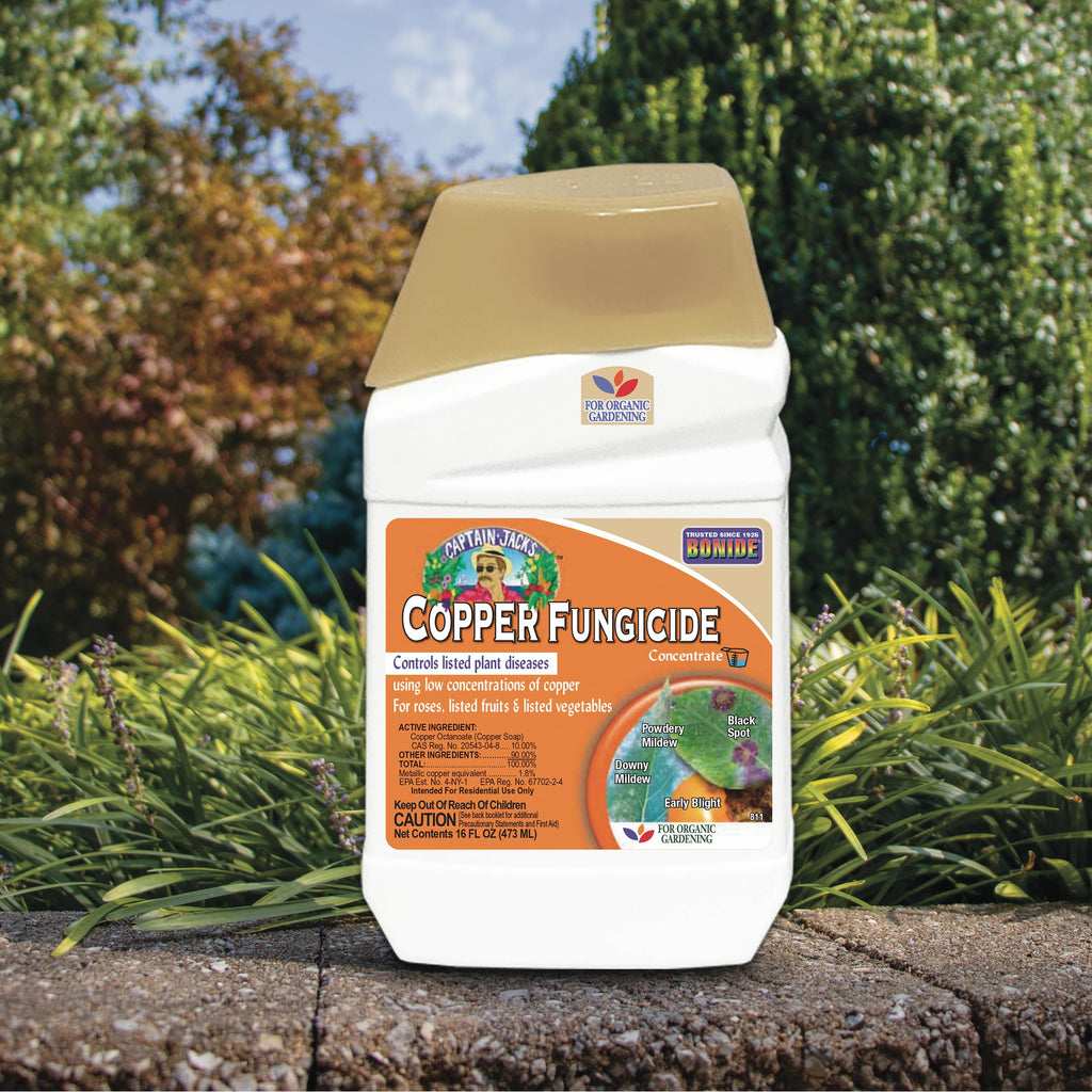 Bonide Captain Jack Copper Fungicide 16 oz Concentrated Plant Disease Control Solution for Organic Gardening