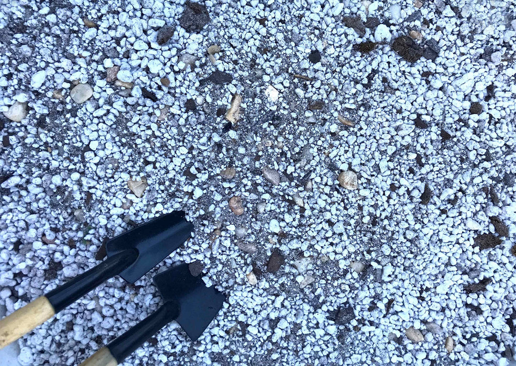 3 lb (Approximately 2 Quarts) Special Lithops Soil Mix Perfect Potting Medium with Excellent Drainage Improve Plant Root System + Bonus One Live Mini Lithops