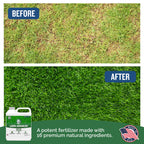 Turf Titan Lawn Advancer – Green Lawn Booster and Lawn Fertilizer (32 oz) – Fast Acting Grass Fertilizer w/Tri-Action Formula – Fertilizer Concentrate for Grass Growth - Covers up to 8,000 Sq Ft