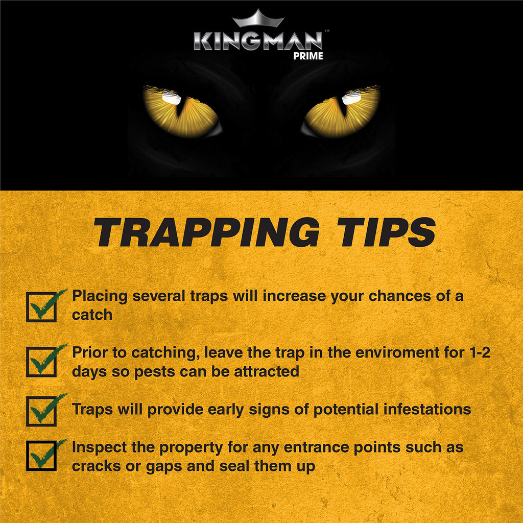 KINGMAN PRIME Mouse Trap Rat Trap Glue Trap/Board (Large Size) (2 Pack / 4 Traps) Rodent Trap Safe Easy Non-Toxic with Connectors