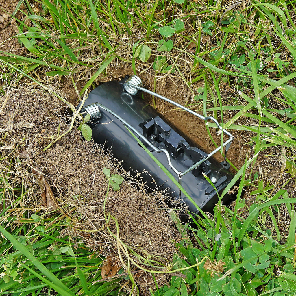 Southern Homewares Black Hole Gopher / Rodent / Mole Easy Set Spring Loaded Trap, Non-Toxic Pest Eliminator 2.0